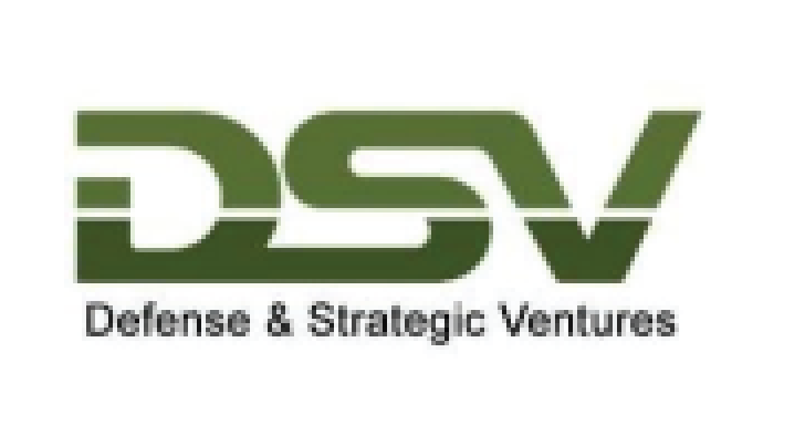 DSV Logo